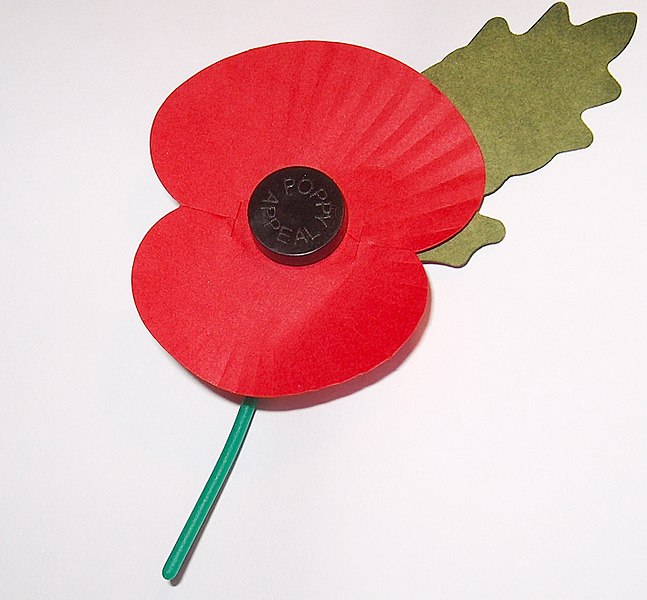 647px-Royal_British_Legion's_Paper_Poppy_-_white_background